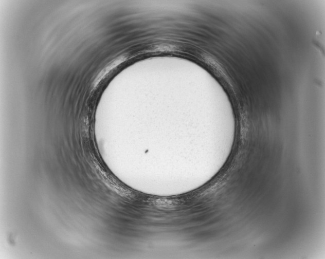 X0000100190827200806271617