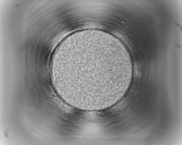 X0000100190828200806271617