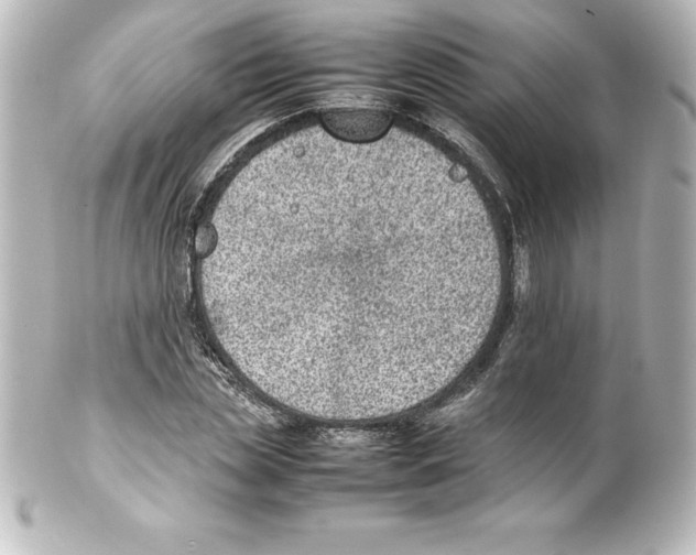 X0000100190829200806271617