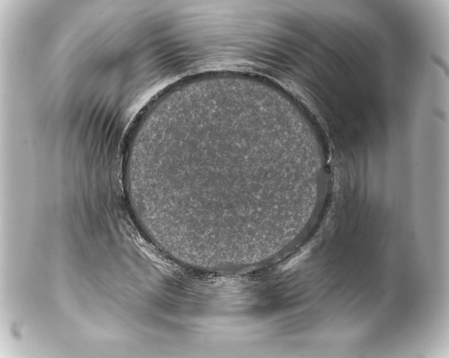 X0000100190830200806271617