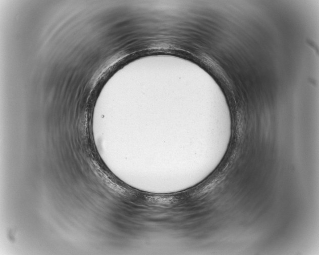 X0000100190831200806271617