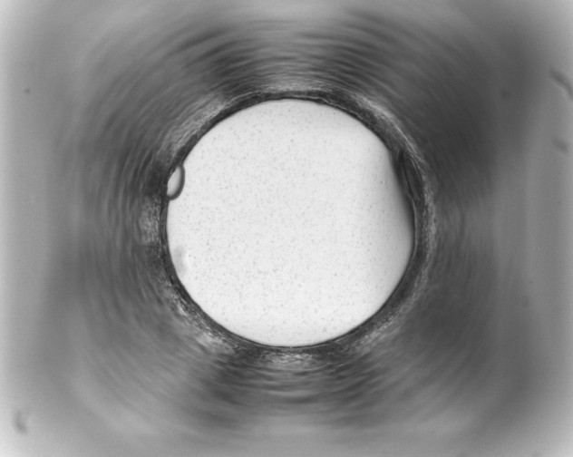 X0000100190833200806271617