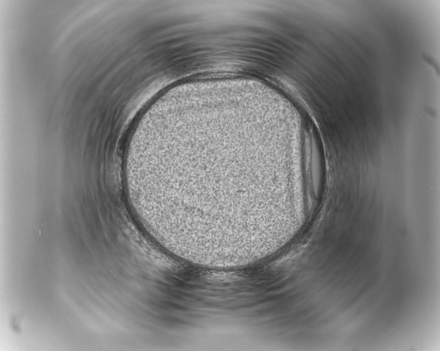 X0000100190835200806271617