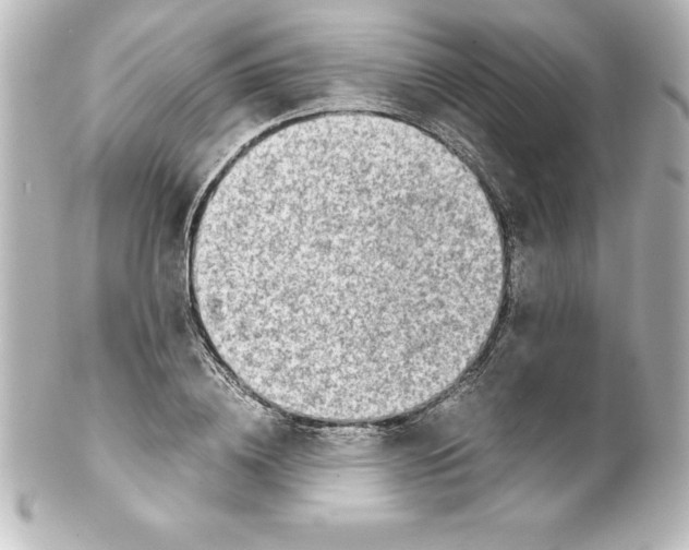 X0000100190836200806271617
