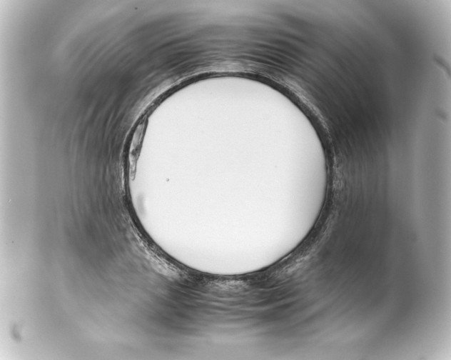 X0000100190837200806271617