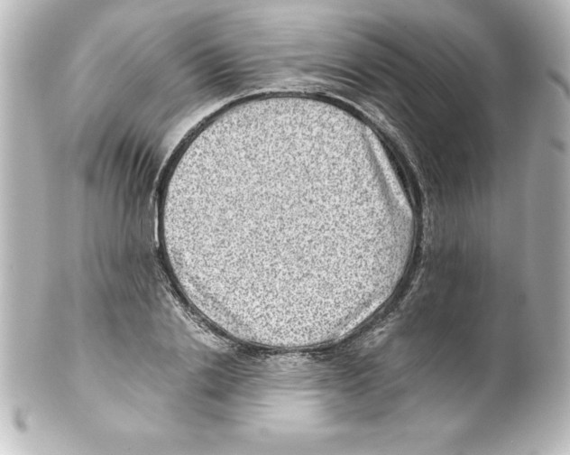 X0000100190838200806271617
