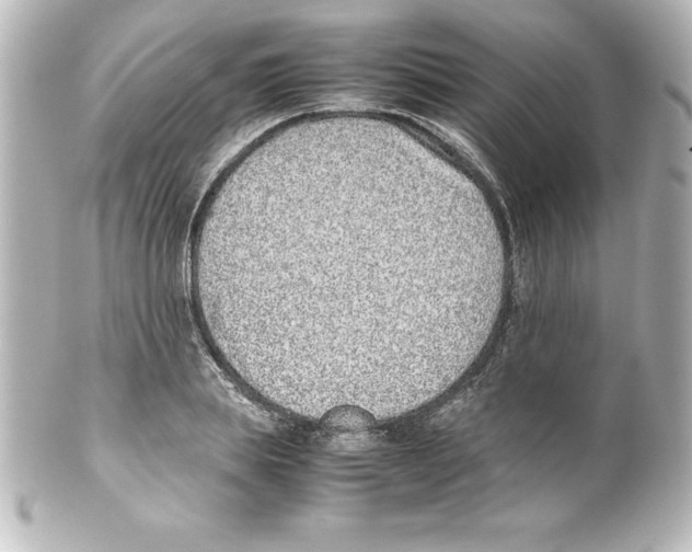 X0000100190839200806271617