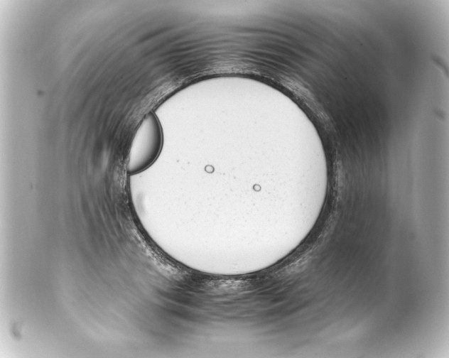 X0000100190841200806271617