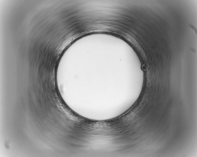X0000100190842200806271617