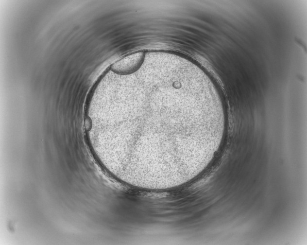 X0000100190845200806271617