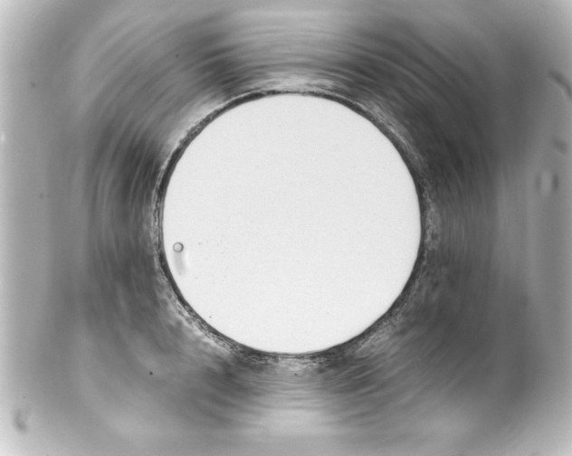 X0000100190848200806271617