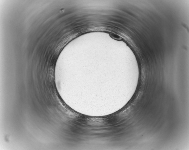X0000100190849200806271617