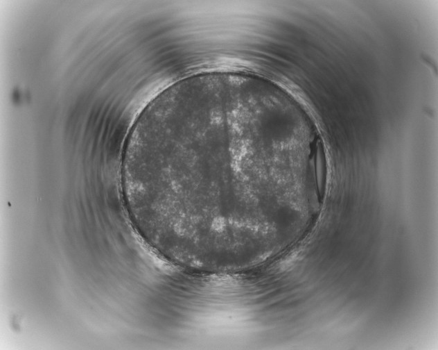 X0000100190850200806271617