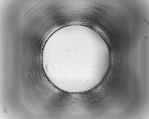 X0000100190852200806271617