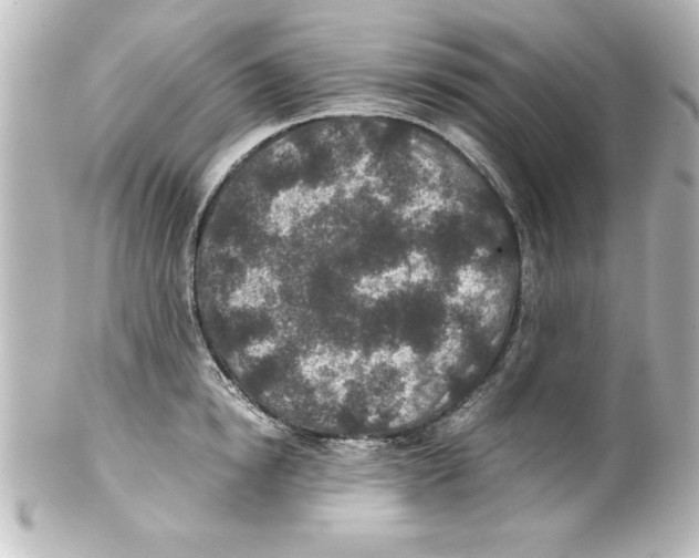 X0000100190854200806271617