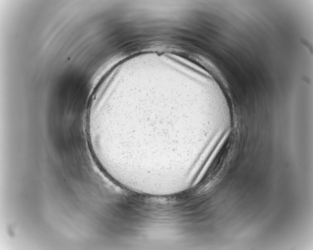 X0000100190855200806271617