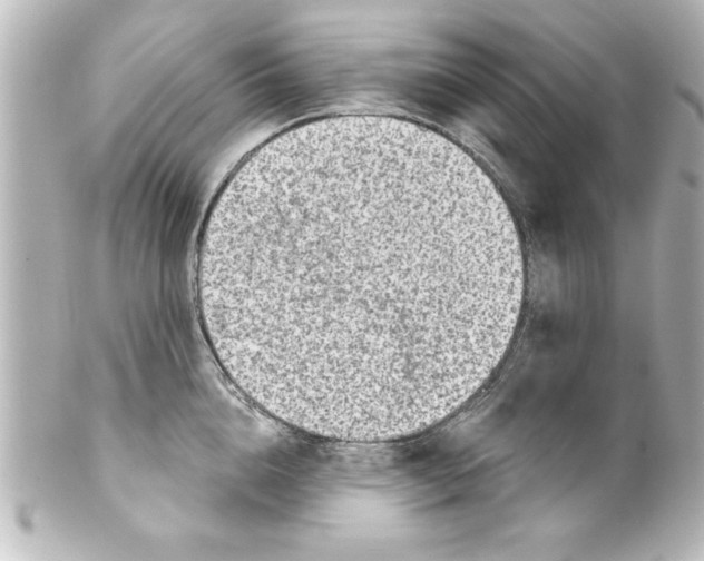 X0000100190856200806271617