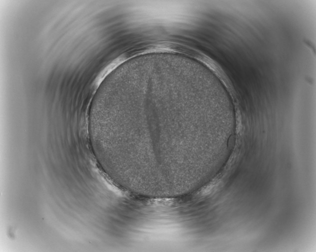 X0000100190858200806271617
