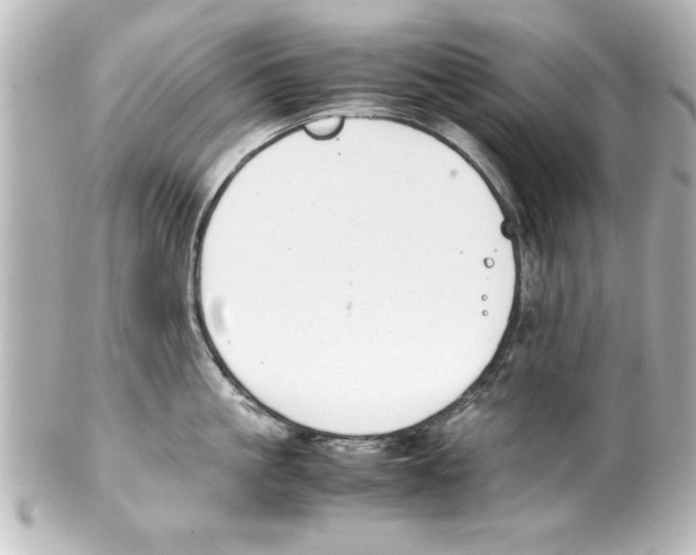 X0000100190861200806271617