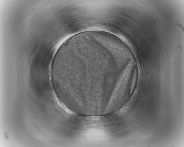X0000100190862200806271617