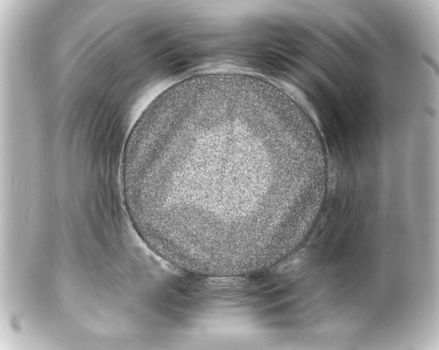 X0000100190863200806271617