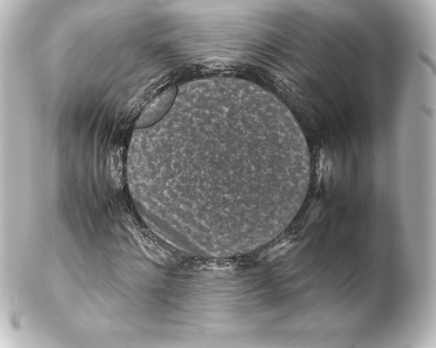 X0000100190868200806271616