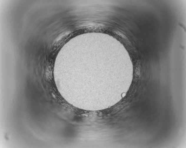 X0000100190869200806271616