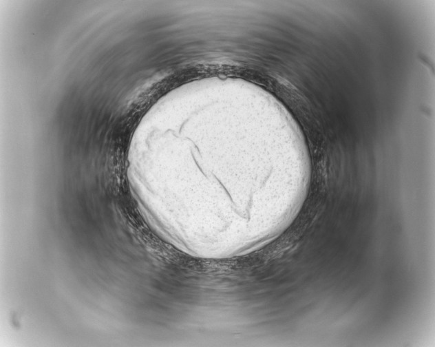 X0000100190870200806271616