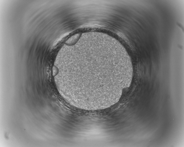 X0000100190872200806271616