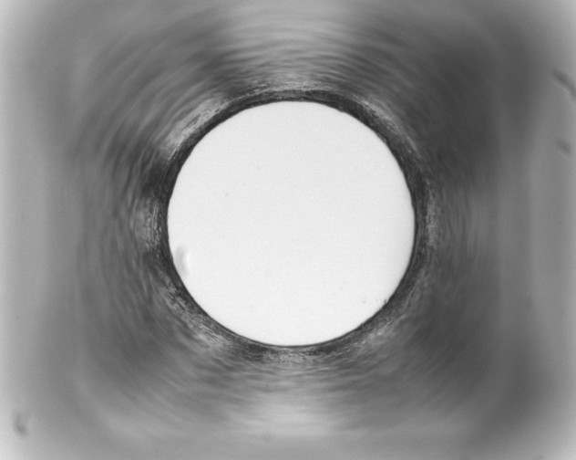 X0000100190873200806271616