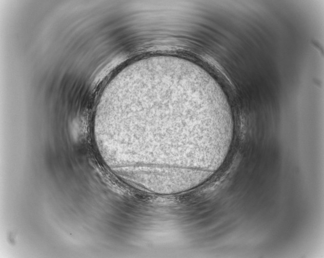 X0000100190874200806271616
