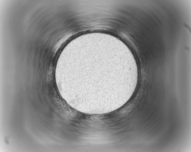 X0000100190875200806271616