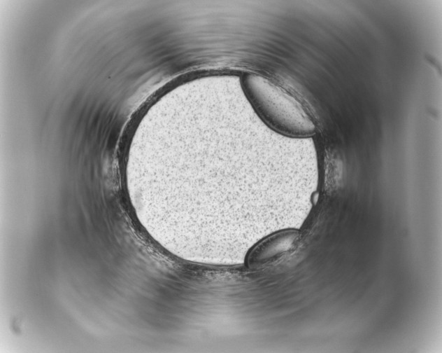 X0000100190876200806271616
