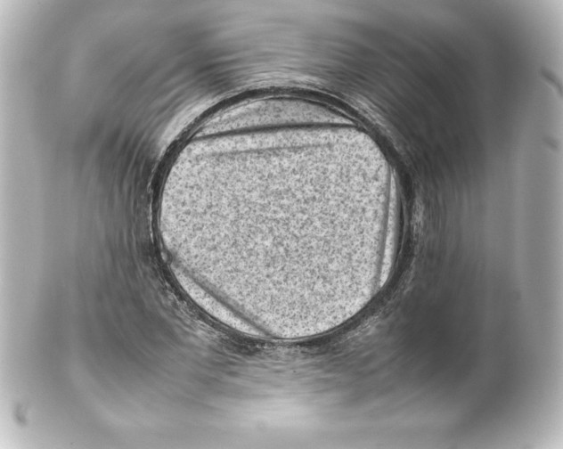 X0000100190877200806271616