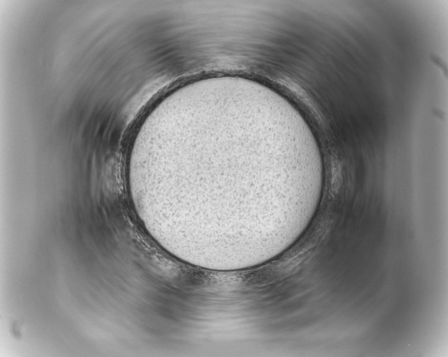 X0000100190878200806271616
