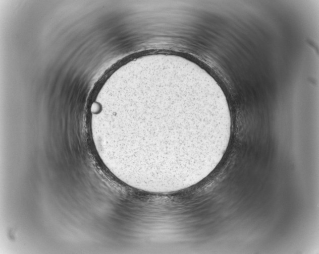 X0000100190880200806271616