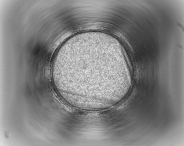X0000100190882200806271616