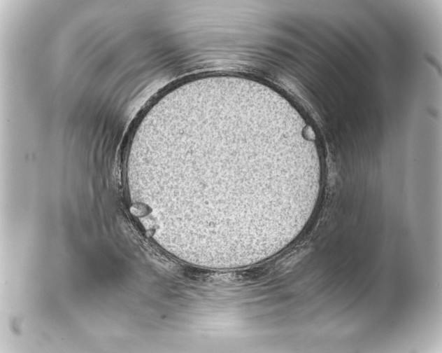 X0000100190883200806271616