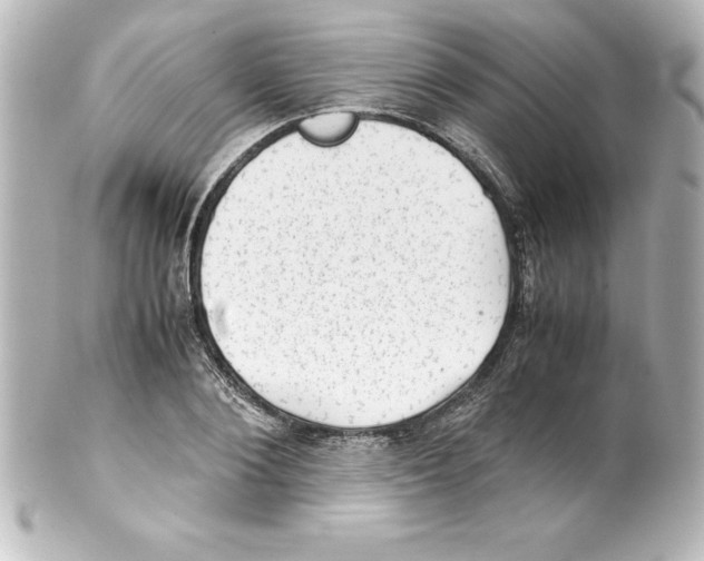 X0000100190884200806271616