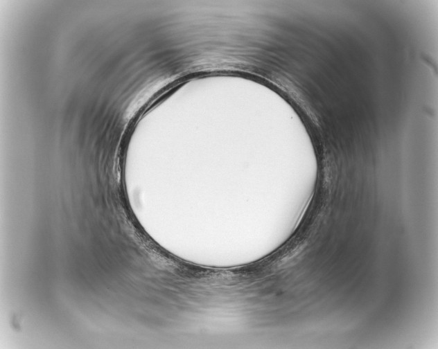 X0000100190885200806271616