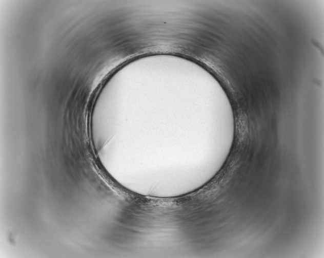 X0000100190886200806271616