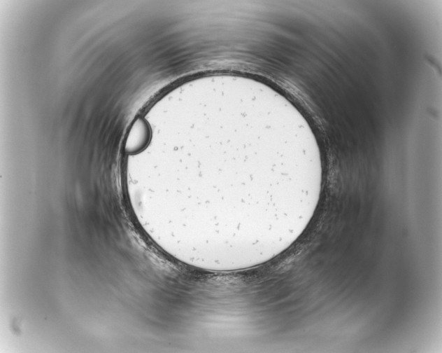 X0000100190888200806271616