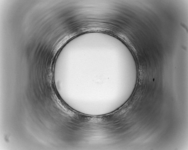 X0000100190890200806271616
