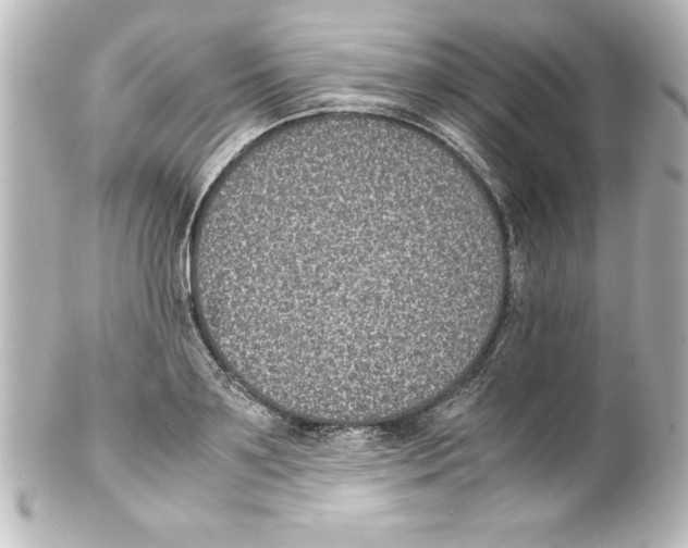 X0000100190891200806271616