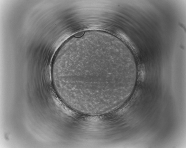 X0000100190892200806271616