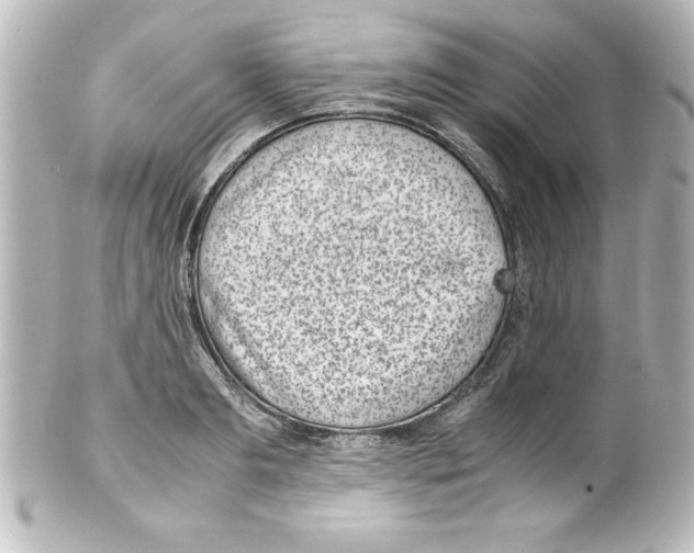 X0000100190893200806271616