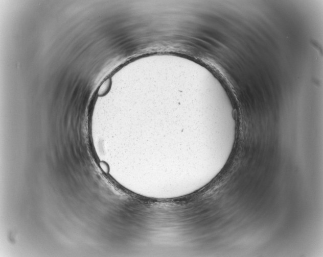 X0000100190894200806271616