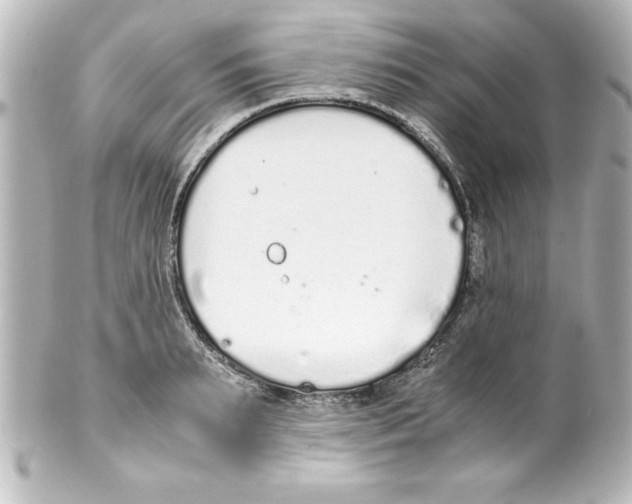 X0000100190895200806271616
