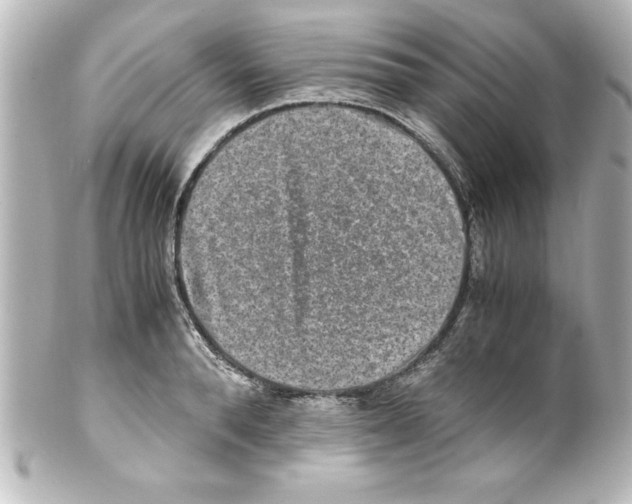 X0000100190896200806271616