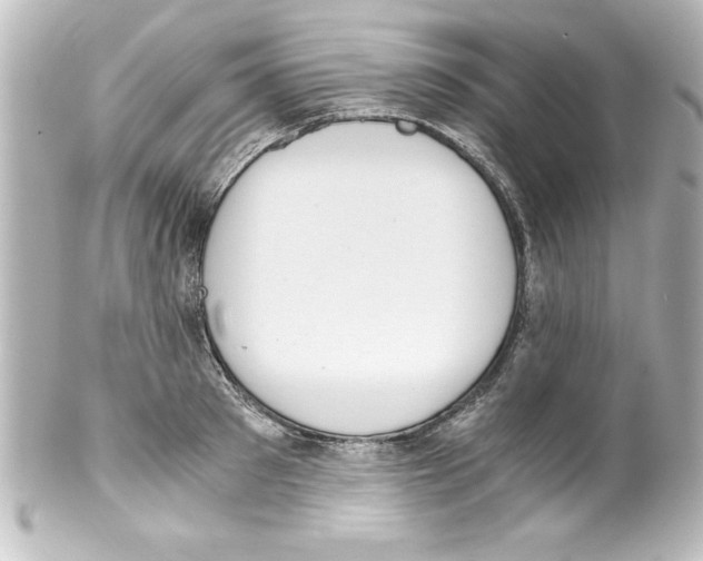 X0000100190897200806271616